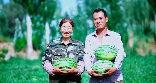 东方甄选yoyo吃瓜,带你领略直播带货新风尚