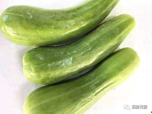 老余在线吃瓜,揭秘娱乐圈幕后故事