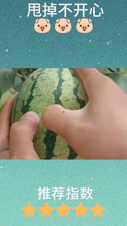 狗头瓜可以直接吃吗,可直接食用的天然美味