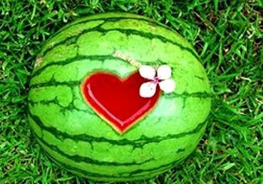 梦见姑娘买瓜吃瓜,姑娘买瓜吃瓜的神秘寓意