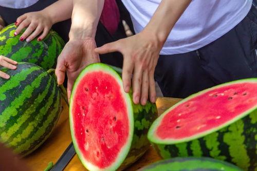 江苏吃瓜大学,吃瓜文化背后的社会现象与思考