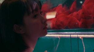 吃瓜少女芳芳,揭秘娱乐圈那些事儿